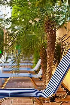 Alea Aparthotel